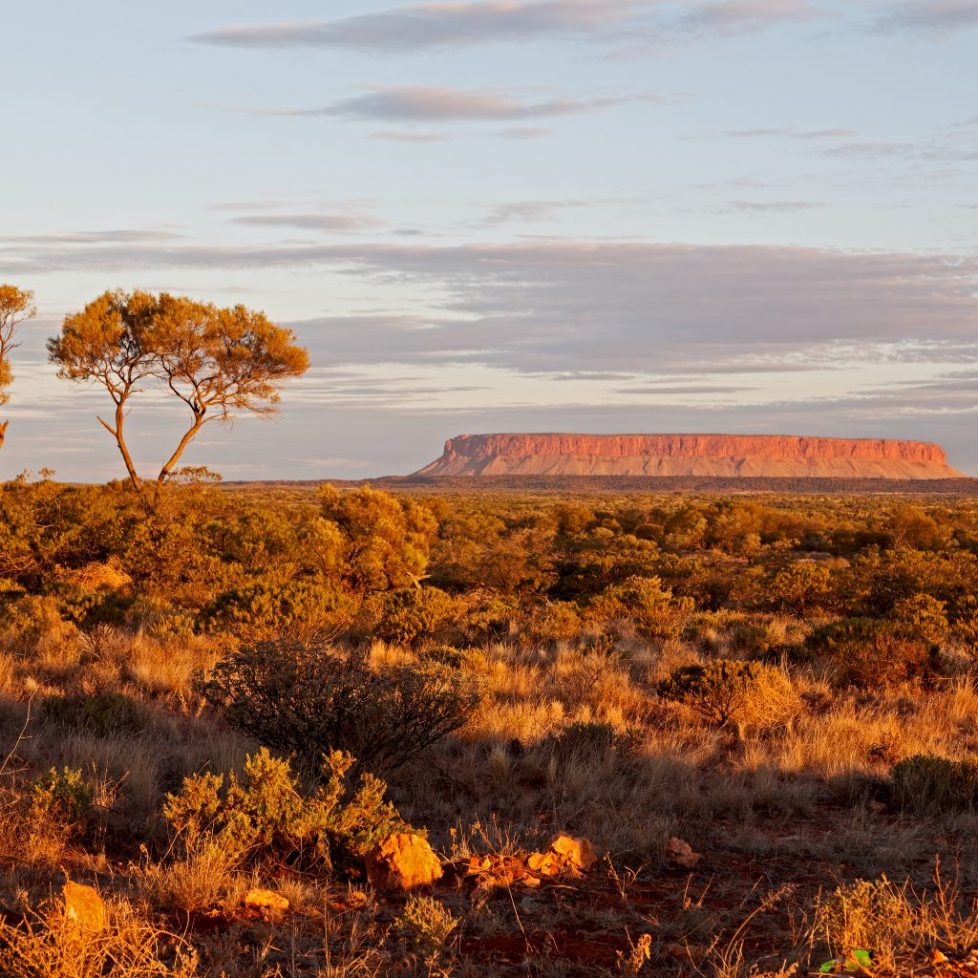 in australia the end of the day in ayers rock park © lkpro